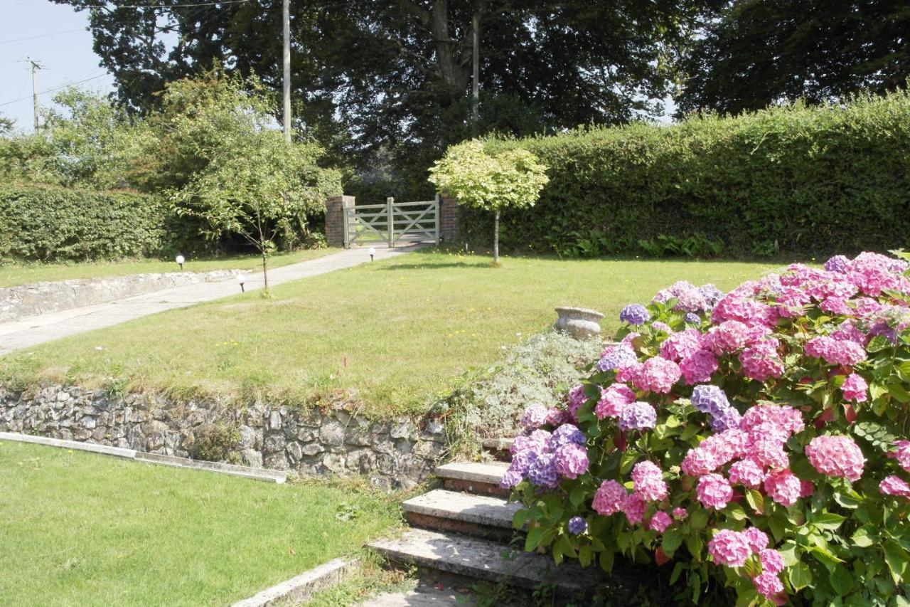 Bed and Breakfast Nettle Bank à Lyme Regis Extérieur photo